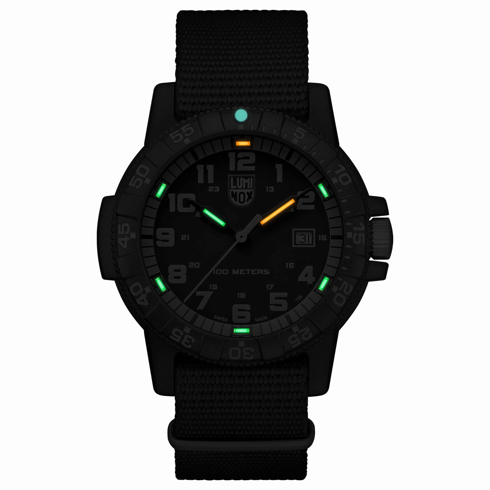 Luminox Men's Quartz Watch - Sea Turtle Giant 0320 Series Black Nylon Strap | 0333