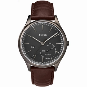 Timex Men's Watch - IQ  Quartz Brown Case Grey Dial Leather Strap | TW2P94800